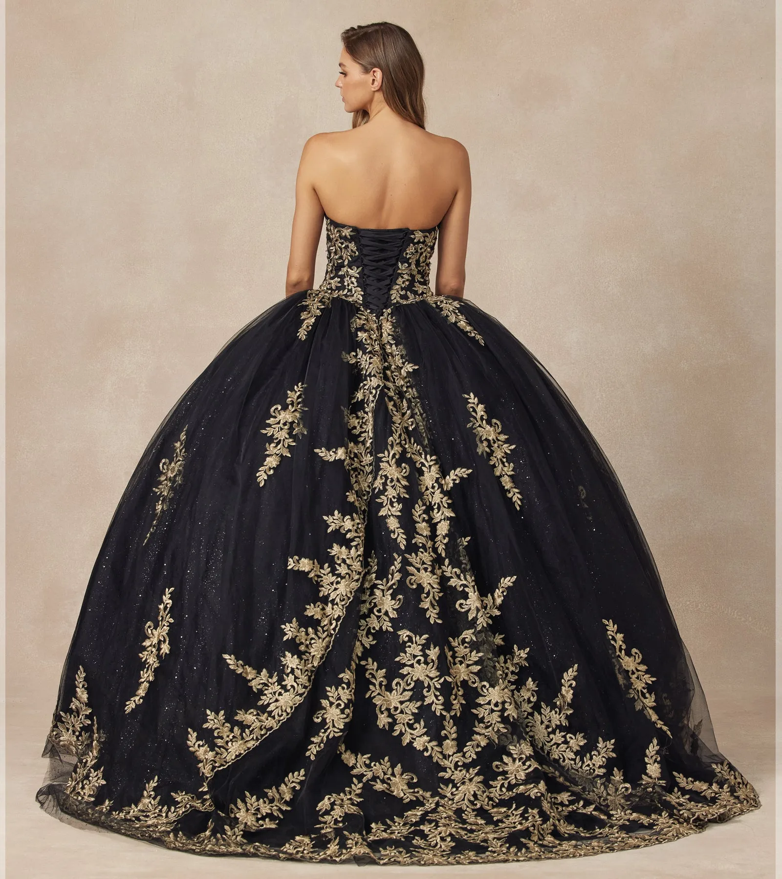 Embellished with metallic applique quinceañera dress
