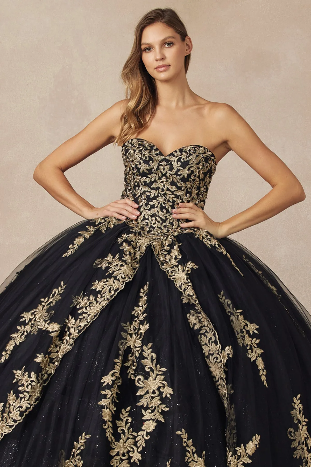 Embellished with metallic applique quinceañera dress
