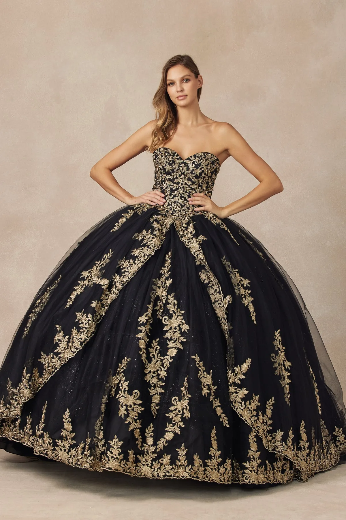 Embellished with metallic applique quinceañera dress